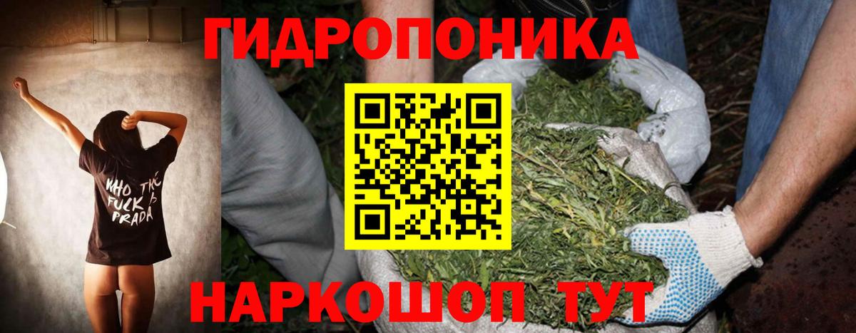 Канабис AK-47  Вход с VPN  Красноуфимск  Марихуана OG Kush  МАРИХУАНА семена  МАРИХУАНА OG Kush 